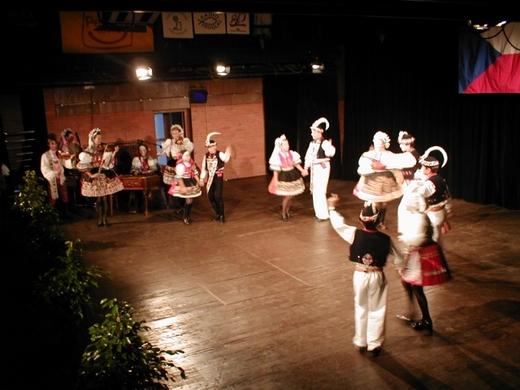 2003 - Husa na provázku (640x480).jpg
