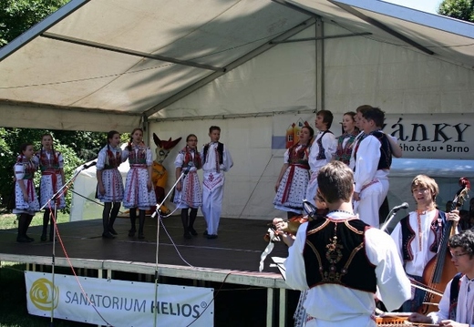 2014 - Lužánky (640x443).jpg