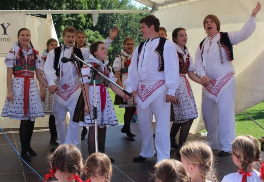 2015 - Lužánky (640x443).jpg
