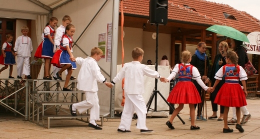 bez názvu-72 (640x344).jpg