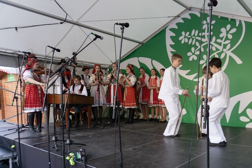 DSC09847.jpg