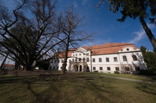 IMGP1720 (640x427).jpg