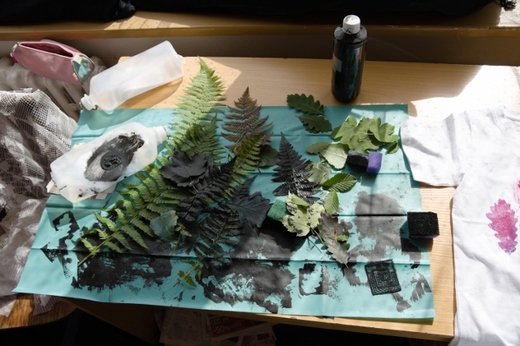 IMGP8869 (640x427).jpg