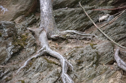 IMGP8968 (640x427).jpg