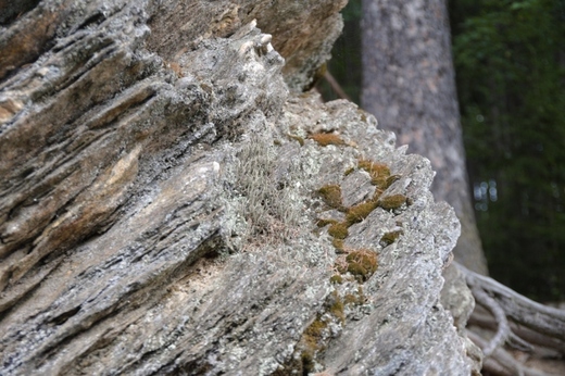 IMGP8969 (640x427).jpg