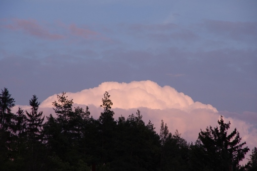 IMGP9023 (640x427).jpg