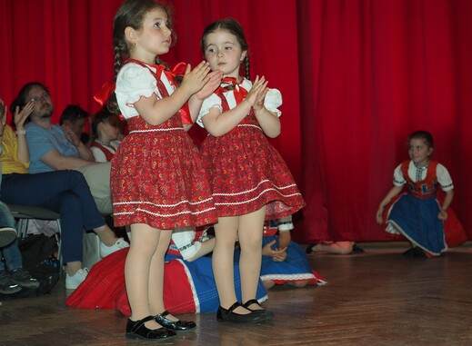 P6060057 (2).JPG