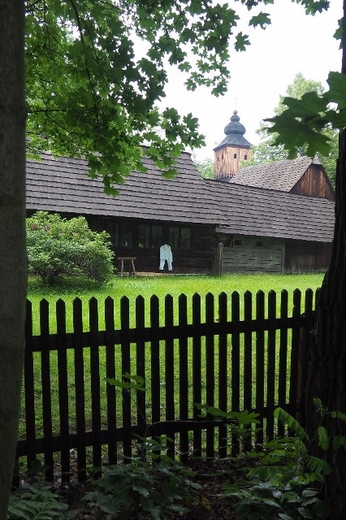 P6090066 (426x640).jpg